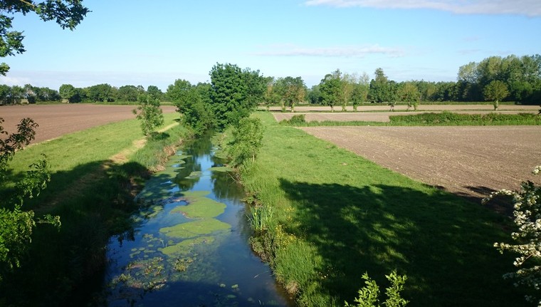 ABO SEGED Environnement ABO SEGED Environnement