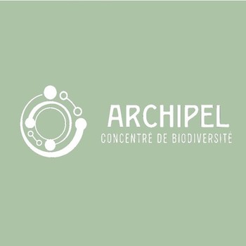 Logo ARCHIPEL 