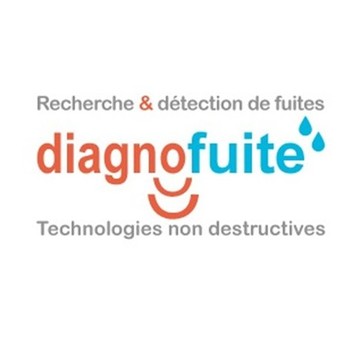 Logo Diagnofuite 