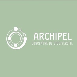 Logo ARCHIPEL 