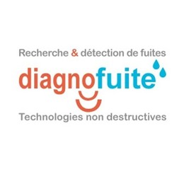 Logo Diagnofuite Logo Diagnofuite