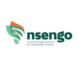 Logo Nsengo Logo Nsengo