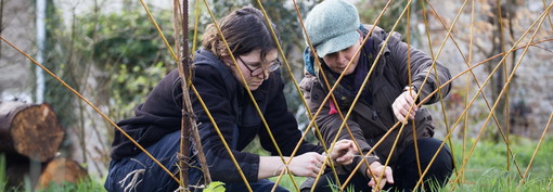 Les valeurs saines du travail de la terre